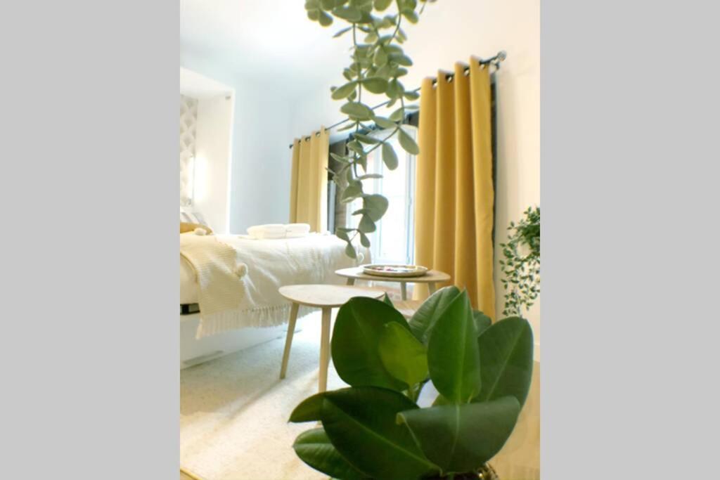 Le Floral - Hypercentre Capitole # Parking Prive # Queen Size Toulouse Exteriör bild